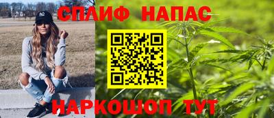 сатива Балахна