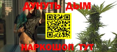 сатива Балахна